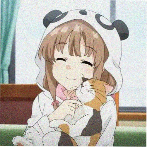 宝爸用户头像